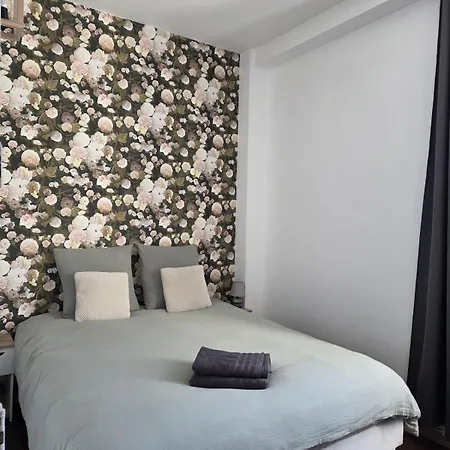 Cocon Urbain Avec Jardin - Proche Hopital Apartment